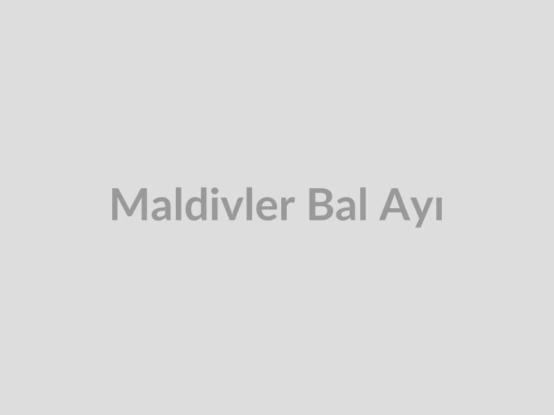 Maldivler Bal Ayı